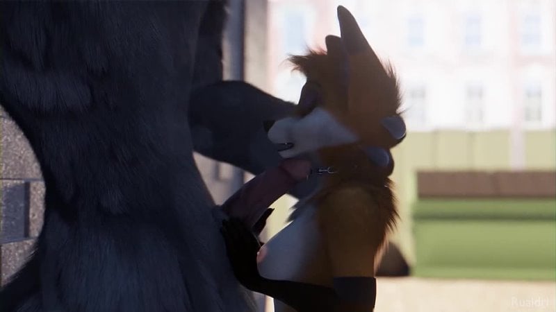 3d 大山雀 守望先锋 原神 性热 无尽色情 女同性恋 yuri 无尽 bdsm 色情 触手 肛门 bdsm 颜射 后宫钢棒